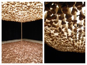 Cildo Meireles How to Build a Cathedral (with detail on right), 1987. Medium : Bones, Communion Wafers, Coins.